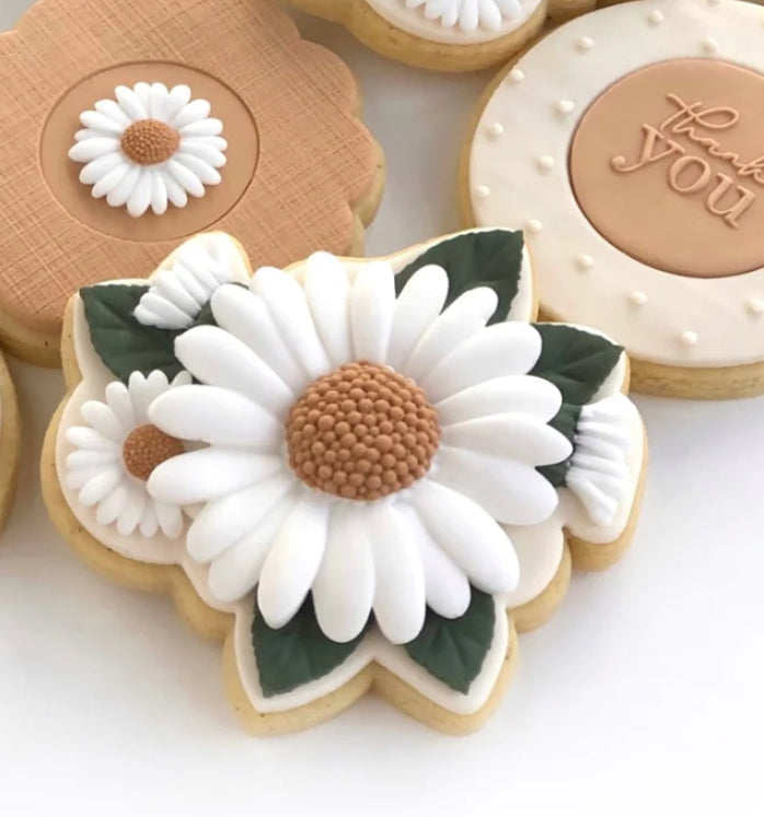 Daisy Flower