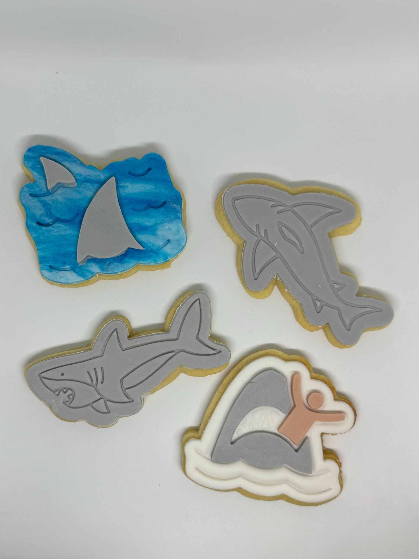 Chomping Shark