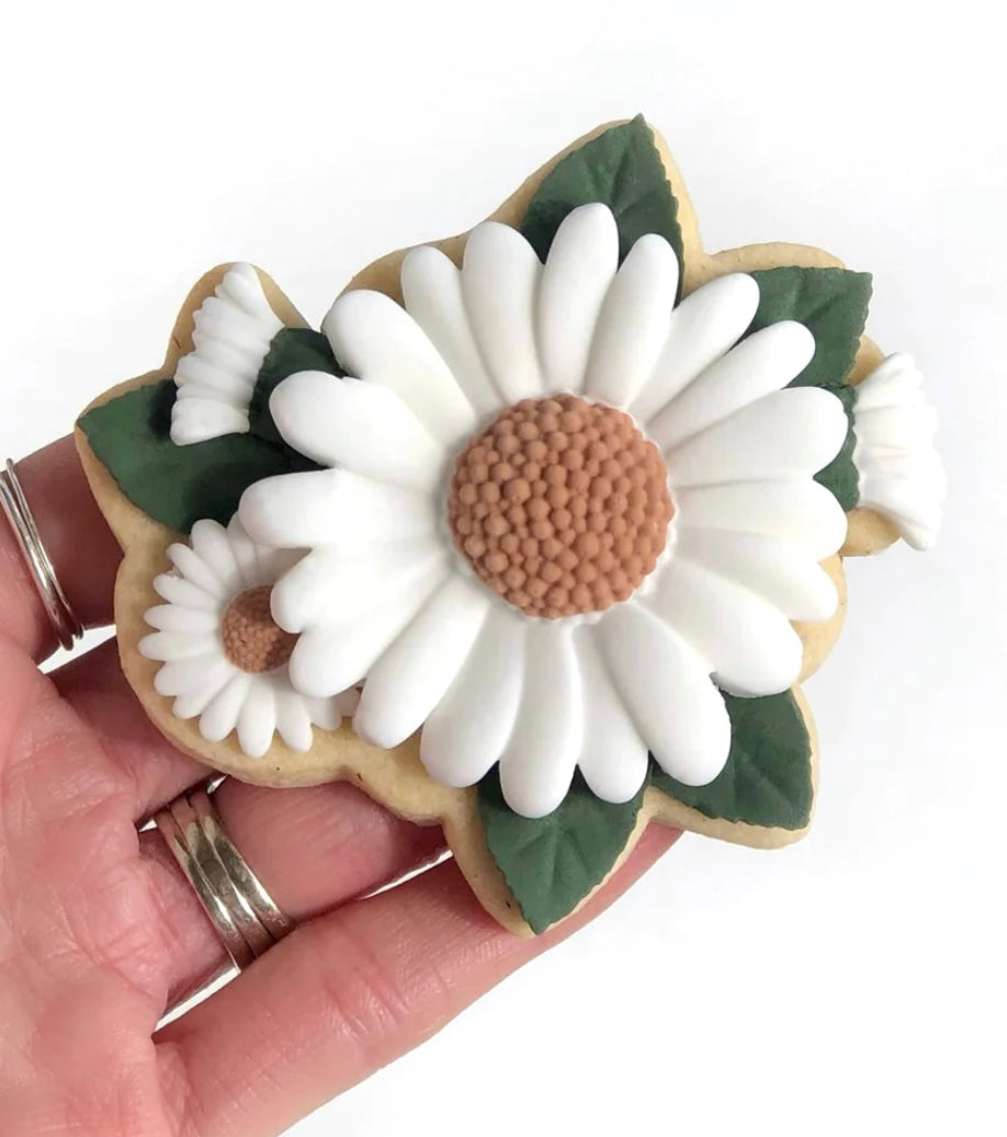 Daisy Flower