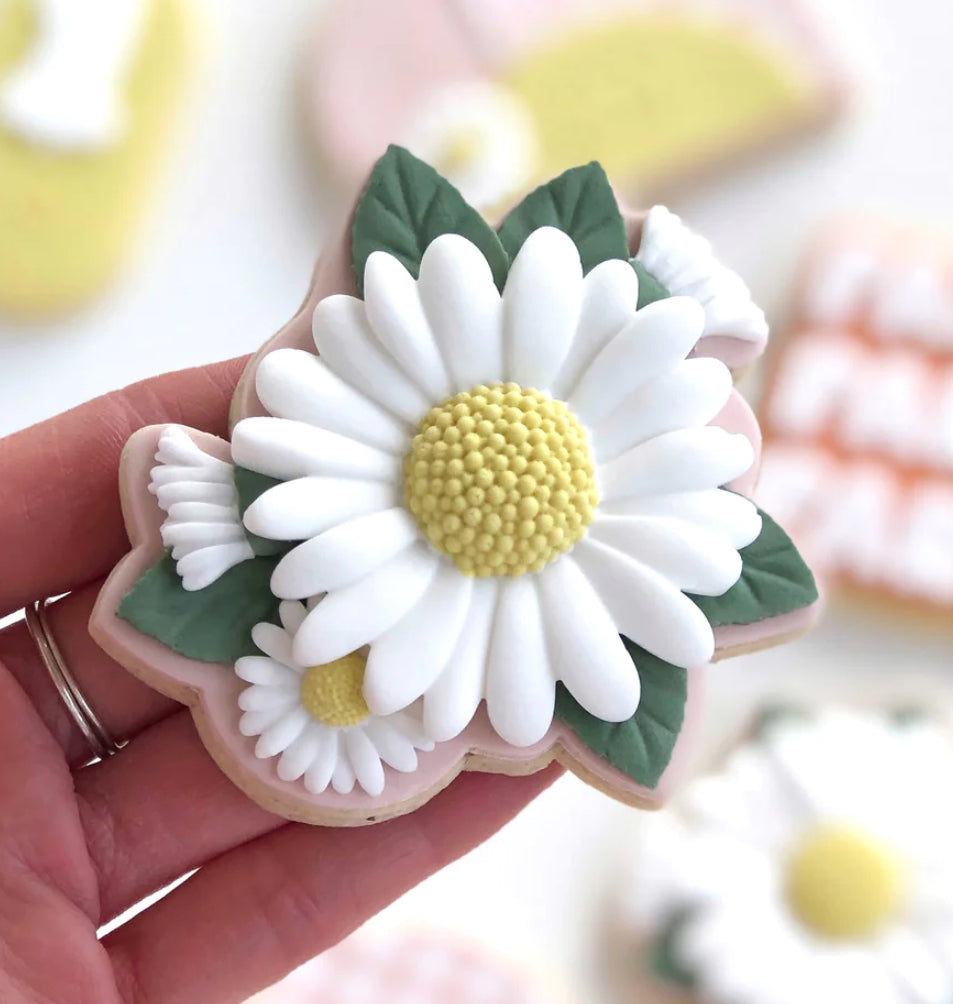 Daisy Flower