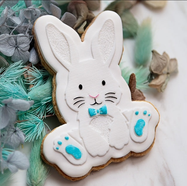 Boy/Girl Easter Bunny Cookies