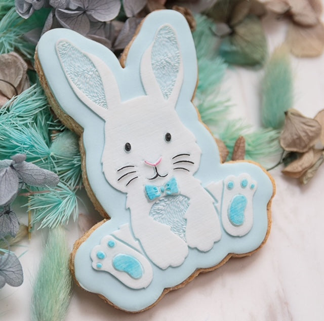 Boy/Girl Easter Bunny Cookies