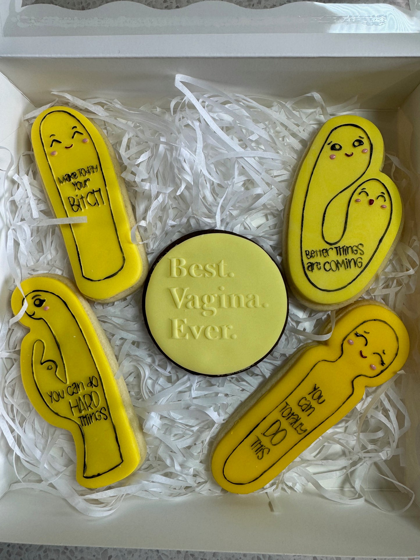 Vibrator Affirmation Cookies
